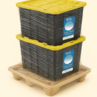 Human Prenatal Development (NEW)