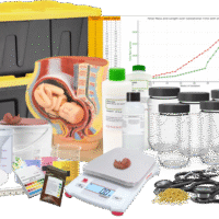 HPDproduct_web Human Prenatal Development