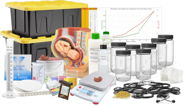 HPDproduct_web Human Prenatal Development