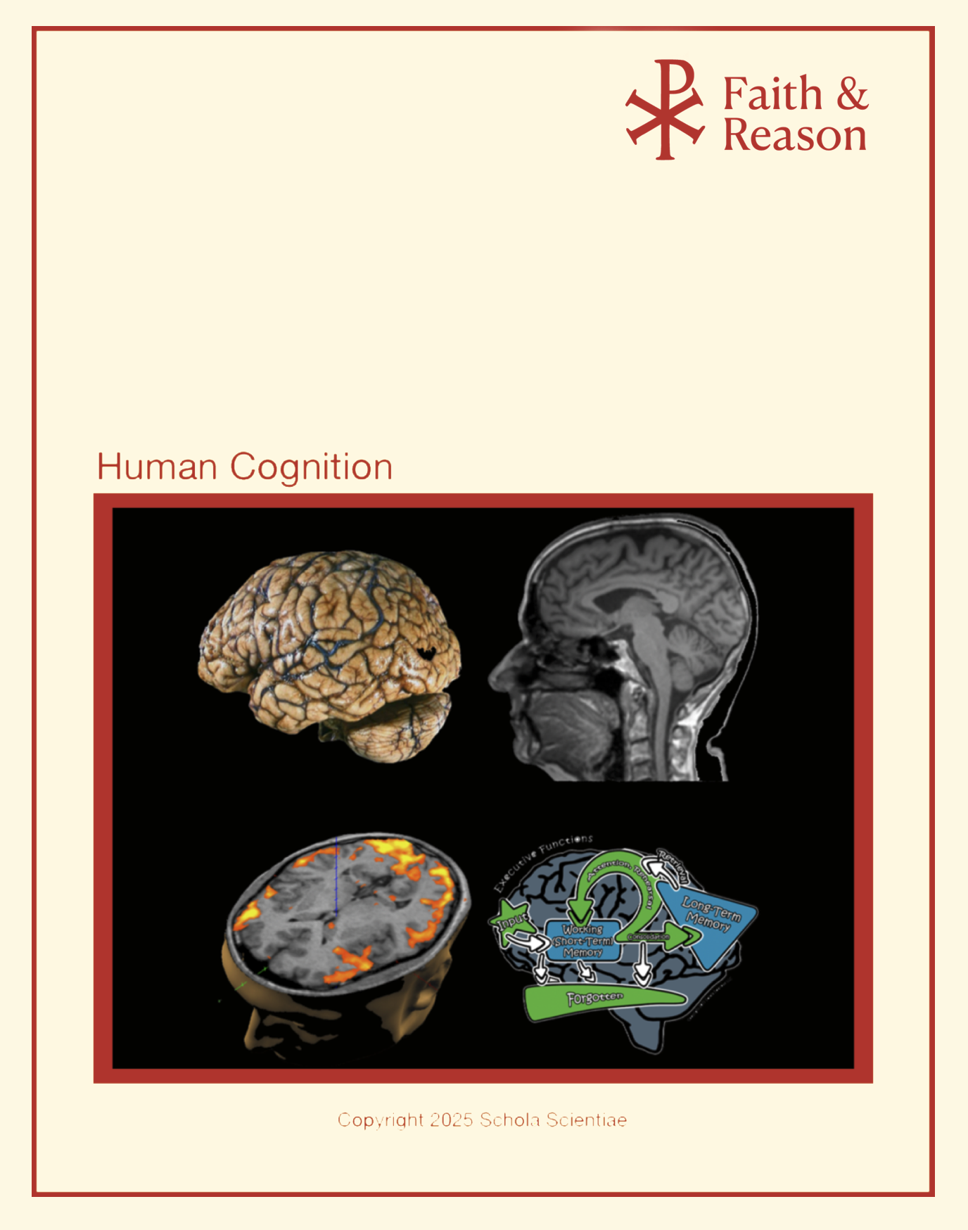 Human Cognition – Teacher