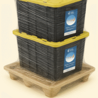 Screenshot 2025-11-05 at 2.42.35 PM Human Prenatal Development