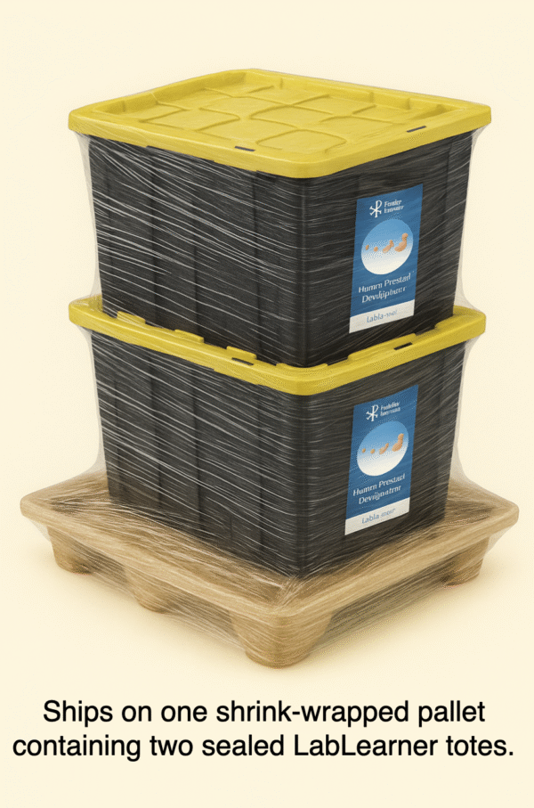 Screenshot 2025-11-05 at 2.42.35 PM Human Prenatal Development