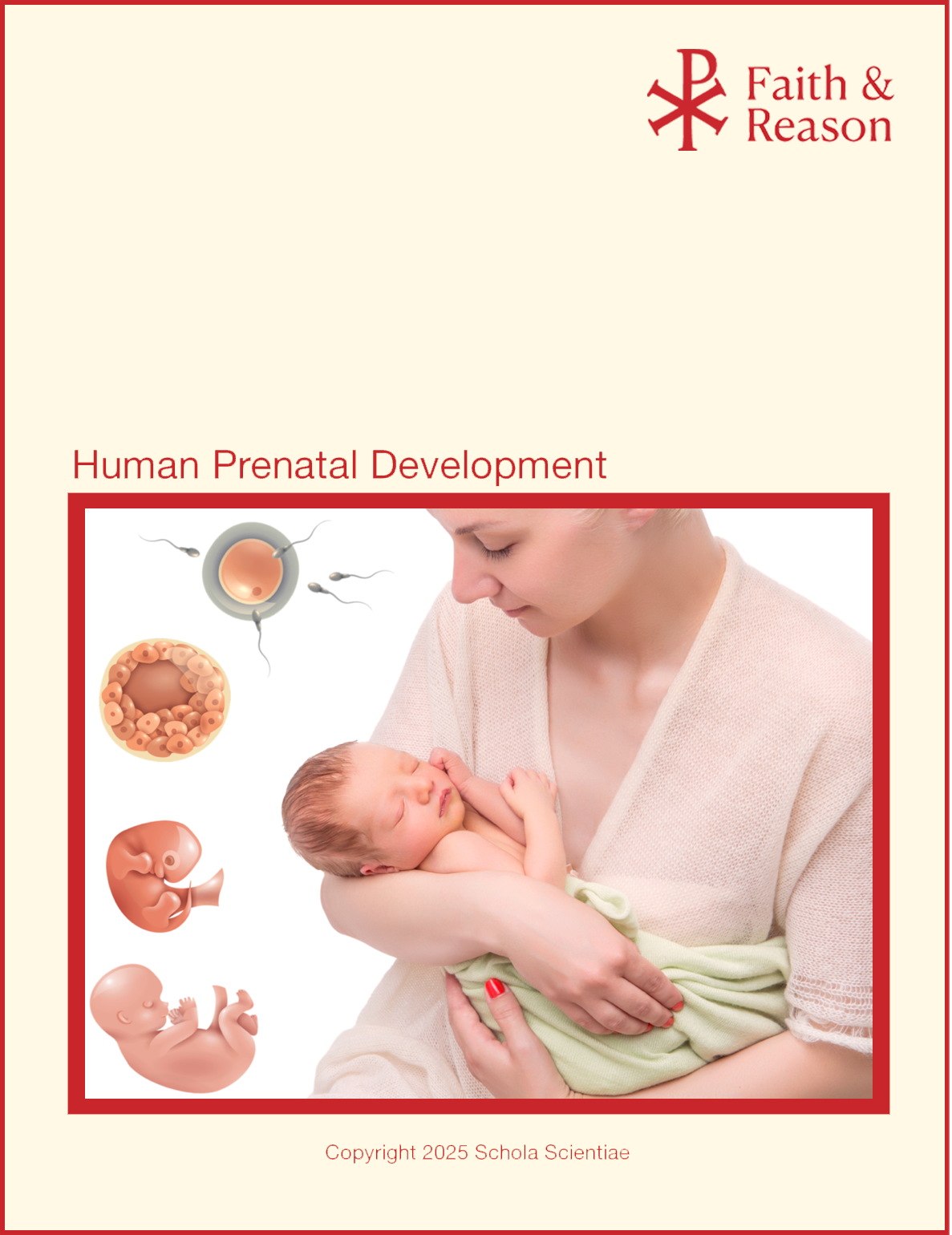Human Prenatal Development – Student