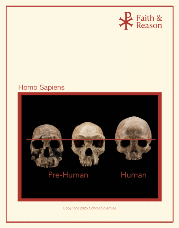 Homo Sapiens