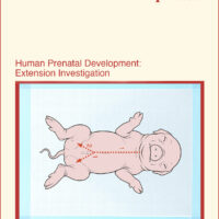 Human Prenatal Development Extension: Fetal Pig Dissection