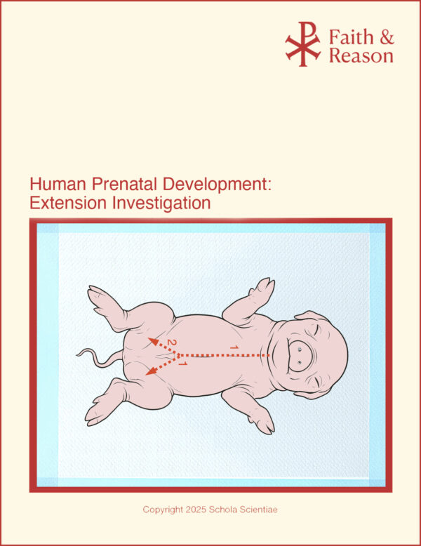 Human Prenatal Development Extension: Fetal Pig Dissection